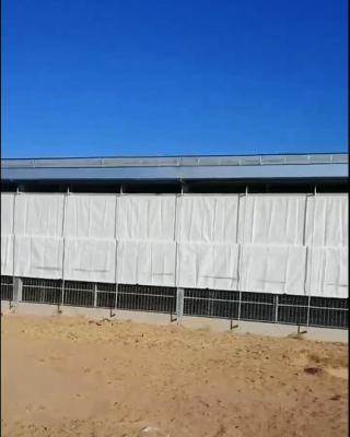 91看片在线播放视频卷帘