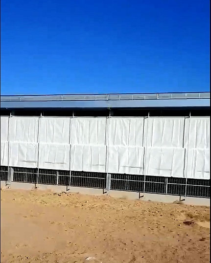 91看片在线播放视频卷帘